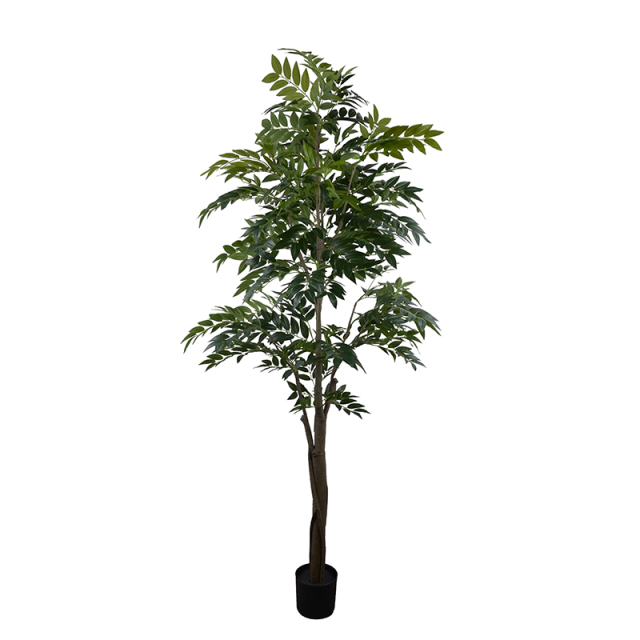 125CM 210CM 300CM Nandin Trees,125CM 210CM 300CM Nandin Trees