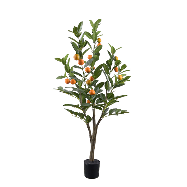120CM 150CM 180CM Orange Trees,120CM 150CM 180CM Orange Trees