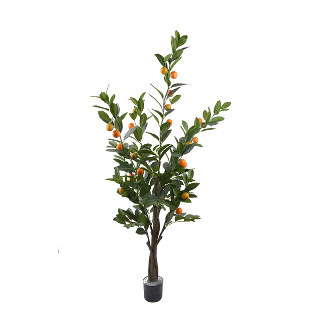 120CM 150CM 180CM Orange Trees,120CM 150CM 180CM Orange Trees