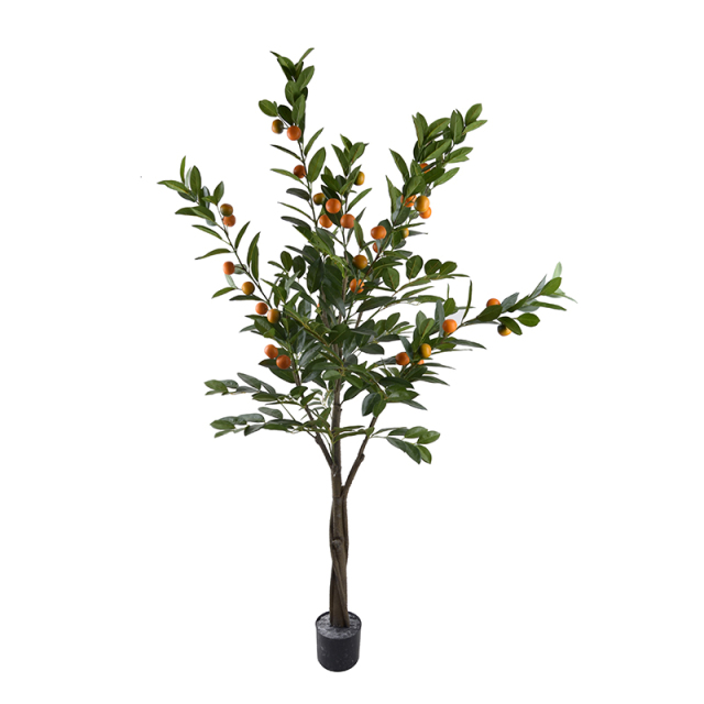 120CM 150CM 180CM Orange Trees,120CM 150CM 180CM Orange Trees