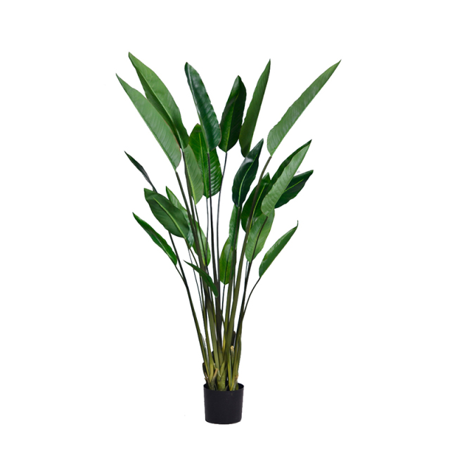 152CM Banana Tree,152CM Banana Tree