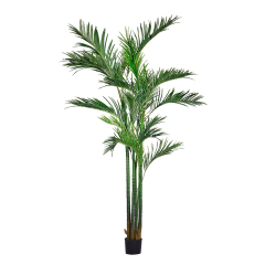 210CM 255CM Palm Tree,210CM 255CM Palm Tree