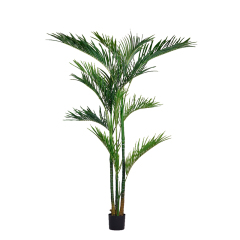 210CM 255CM Palm Tree,210CM 255CM Palm Tree