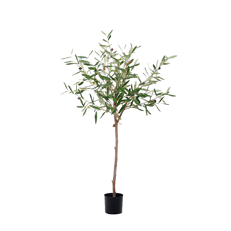 120CM 145CM 180CM 210CM Olive Trees (Natural Trunks),120CM 145CM 180CM 210CM Olive Trees (Natural Trunks)