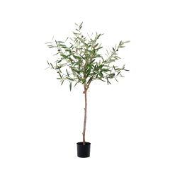 120CM 145CM 180CM 210CM Olive Trees (Natural Trunks),120CM 145CM 180CM 210CM Olive Trees (Natural Trunks)