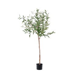 120CM 145CM 180CM 210CM Olive Trees (Natural Trunks),120CM 145CM 180CM 210CM Olive Trees (Natural Trunks)