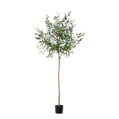 120CM 145CM 180CM 210CM Olive Trees (Natural Trunks),120CM 145CM 180CM 210CM Olive Trees (Natural Trunks)