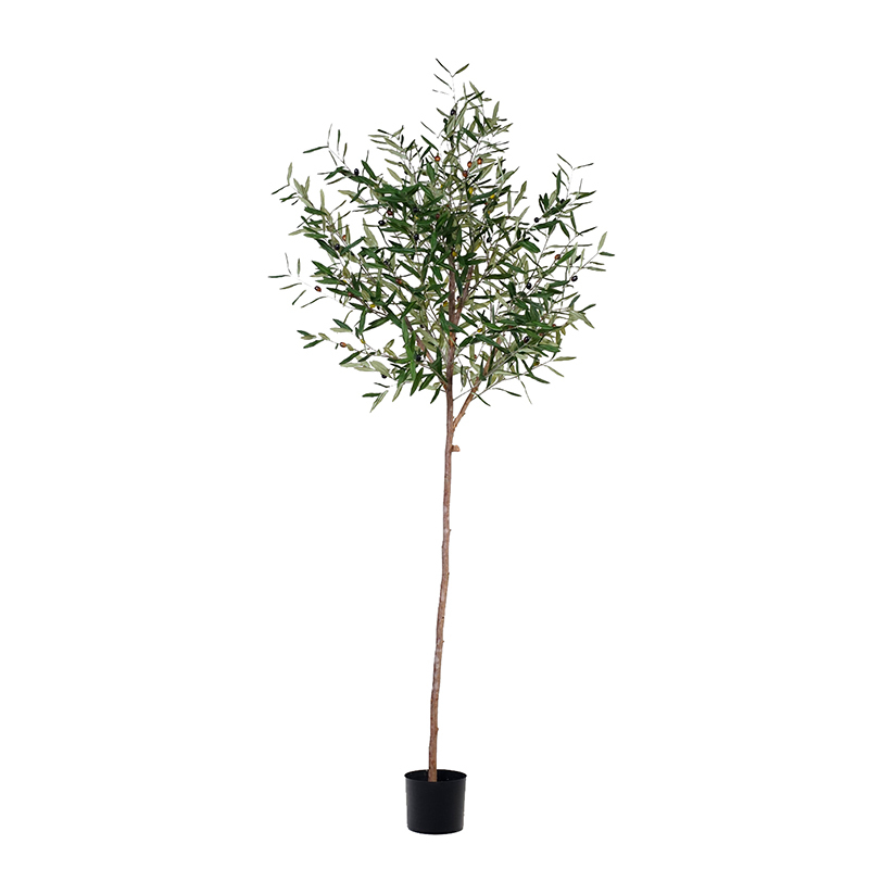120CM 145CM 180CM 210CM Olive Trees (Natural Trunks),120CM 145CM 180CM 210CM Olive Trees (Natural Trunks)