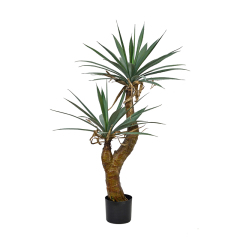 120CM Agave Trees,120CM Agave Trees