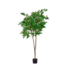 175CM Ficus Tree (Natural Trunks),175CM Ficus Tree (Natural Trunks)