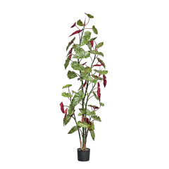 190CM 220CM 250CM Begonia Trees,190CM 220CM 250CM Begonia Trees