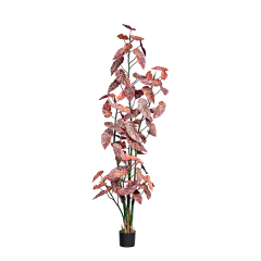 190CM 220CM 250CM Begonia Trees,190CM 220CM 250CM Begonia Trees