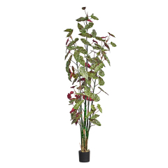 190CM 220CM 250CM Begonia Trees,190CM 220CM 250CM Begonia Trees