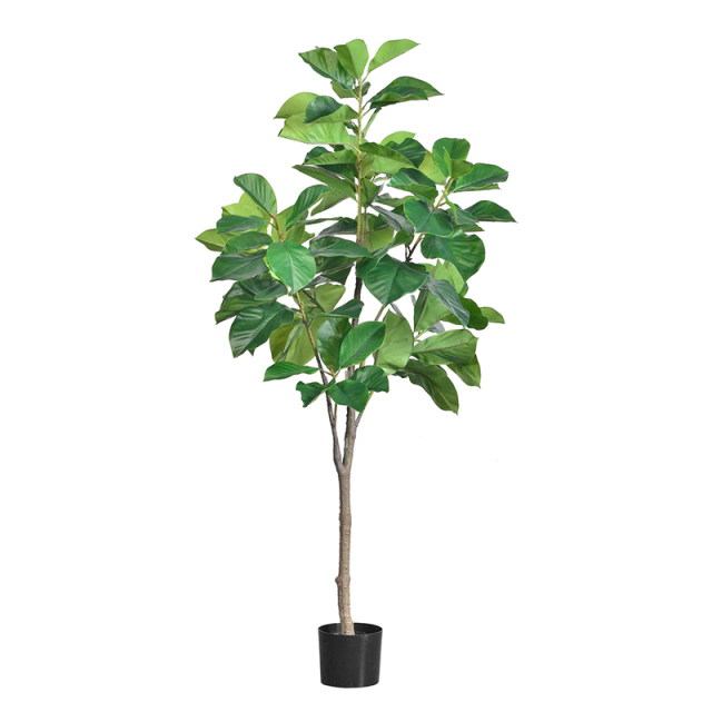 170CM Magnolia Tree,170CM Magnolia Tree