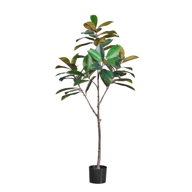 160CM Magnolia Tree,160CM Magnolia Tree