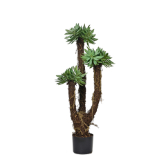 55CM-120CM Potted Succulents Plants,55CM-120CM Potted Succulents Plants
