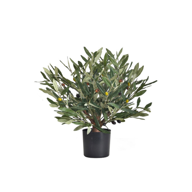 45CM-170CM Olive Trees with Natural Trunks,45CM-170CM Olive Trees with Natural Trunks