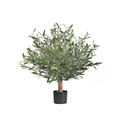 45CM-170CM Olive Trees with Natural Trunks,45CM-170CM Olive Trees with Natural Trunks