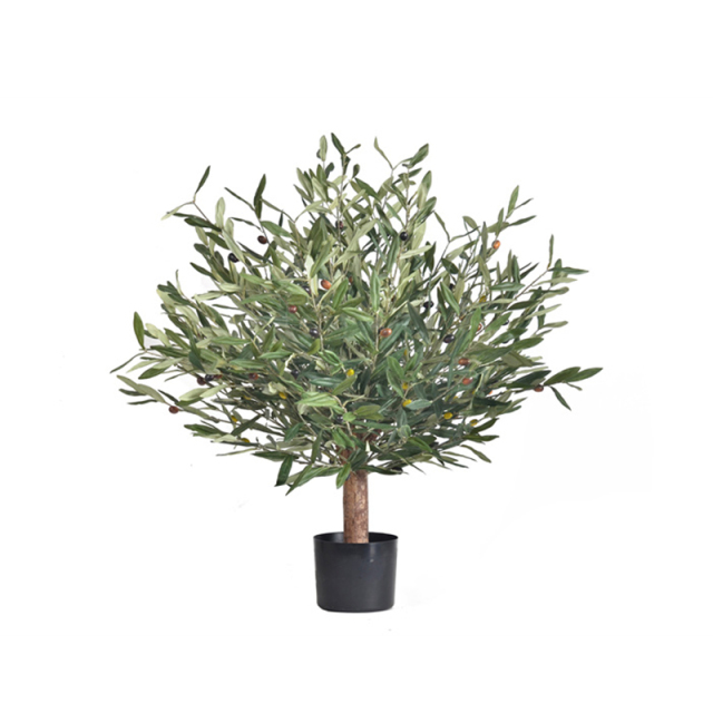 45CM-170CM Olive Trees with Natural Trunks,45CM-170CM Olive Trees with Natural Trunks