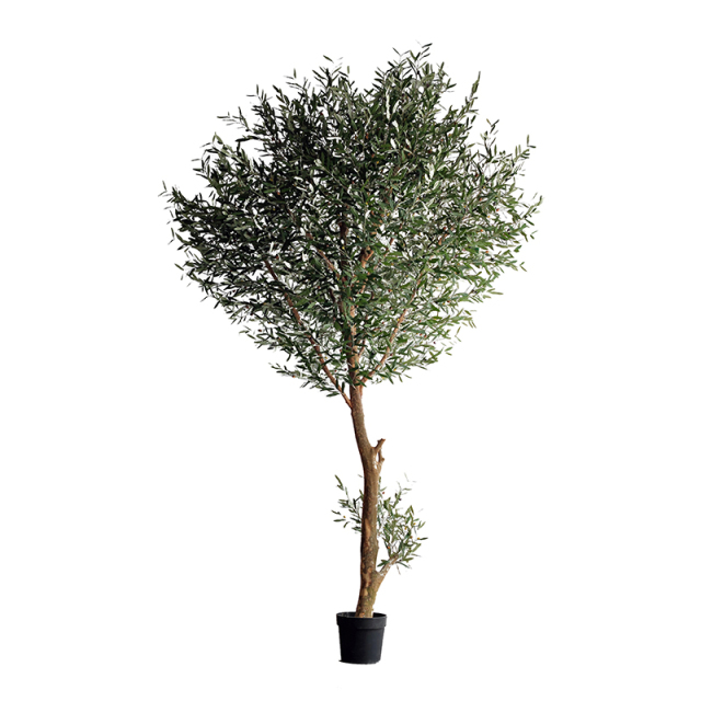 350CM Big Olive Tree with Natural Trunks,350CM Big Olive Tree with Natural Trunks