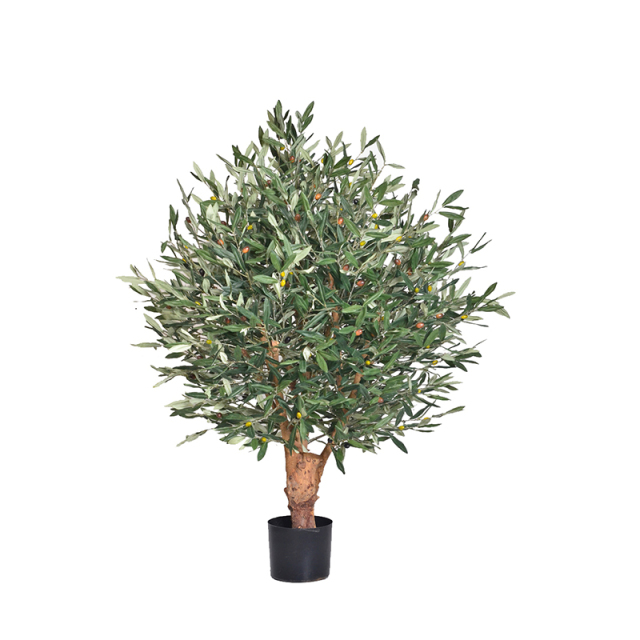 45CM-170CM Olive Trees with Natural Trunks,45CM-170CM Olive Trees with Natural Trunks