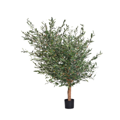 45CM-170CM Olive Trees with Natural Trunks,45CM-170CM Olive Trees with Natural Trunks