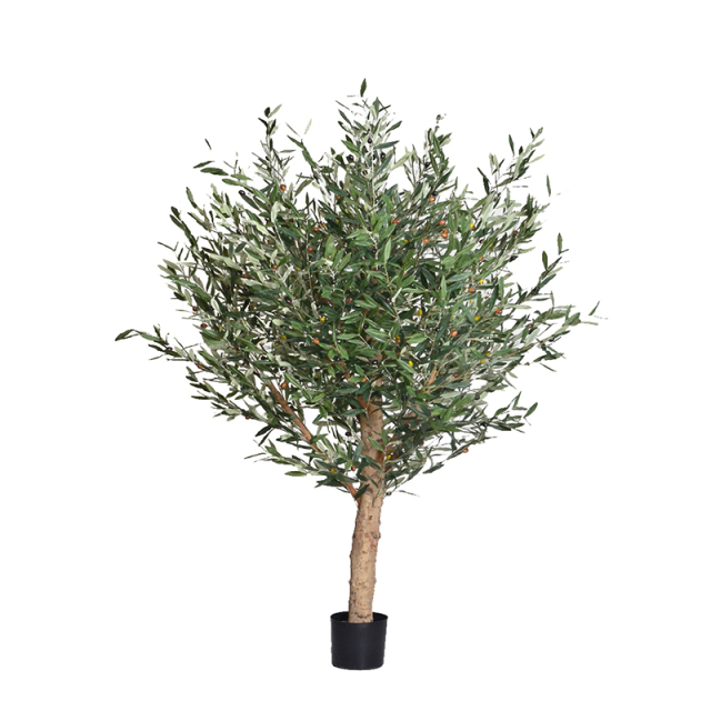 45CM-170CM Olive Trees with Natural Trunks,45CM-170CM Olive Trees with Natural Trunks