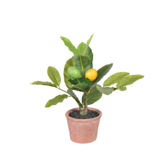 30CM Mini Potted Lemon Plant,30CM Mini Potted Lemon Plant