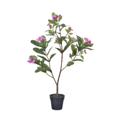 60CM 75CM Potted Rosy Periwinkle Flower Plants,60CM 75CM Potted Rosy Periwinkle Flower Plants