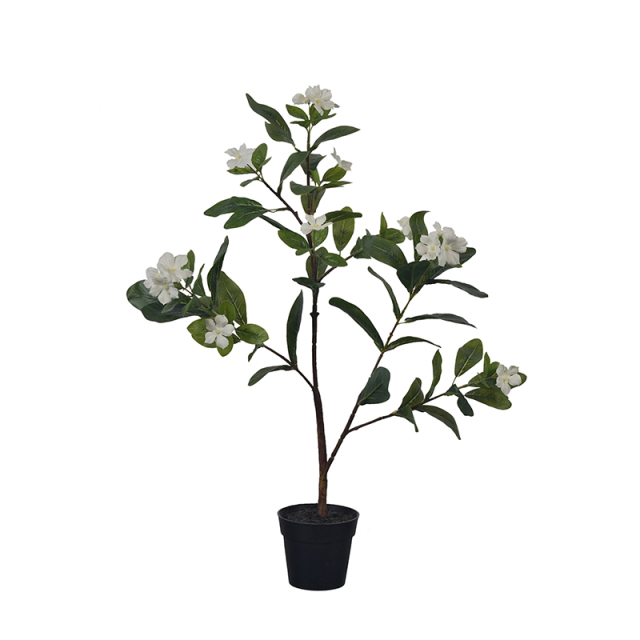 60CM 75CM Potted Rosy Periwinkle Flower Plants,60CM 75CM Potted Rosy Periwinkle Flower Plants