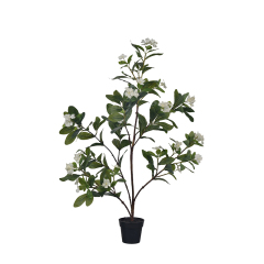 60CM 75CM Potted Rosy Periwinkle Flower Plants,60CM 75CM Potted Rosy Periwinkle Flower Plants