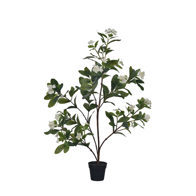 60CM 75CM Potted Rosy Periwinkle Flower Plants,60CM 75CM Potted Rosy Periwinkle Flower Plants