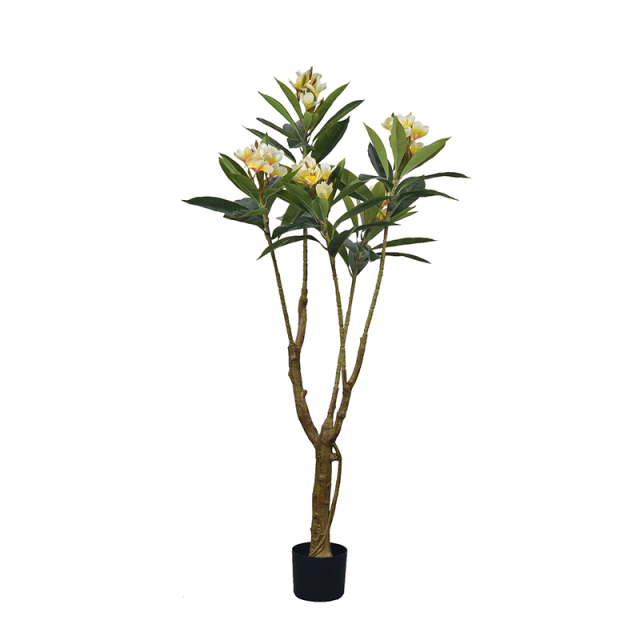 140CM-270CM Plumeria Flower Trees,140CM-270CM Plumeria Flower Trees