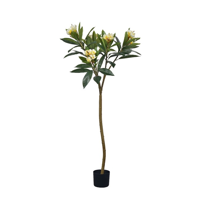 140CM-270CM Plumeria Flower Trees,140CM-270CM Plumeria Flower Trees