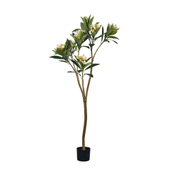 140CM-270CM Plumeria Flower Trees,140CM-270CM Plumeria Flower Trees