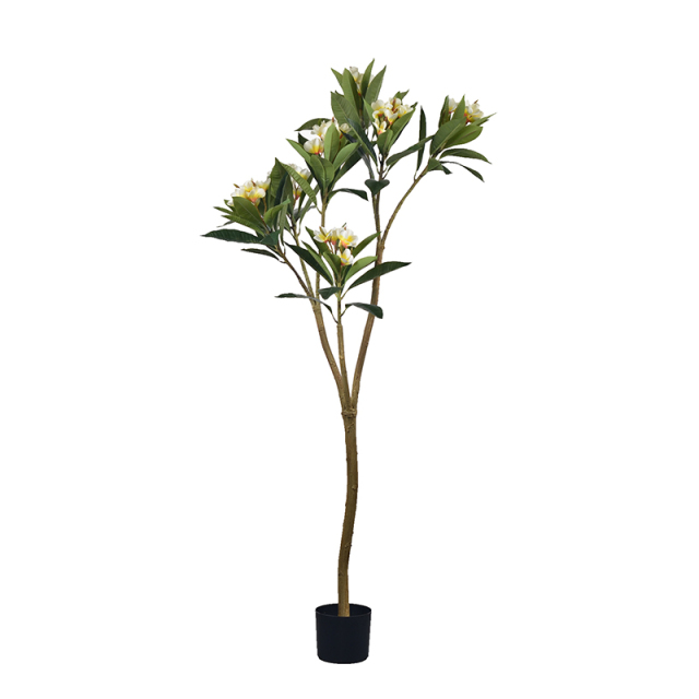 140CM-270CM Plumeria Flower Trees,140CM-270CM Plumeria Flower Trees