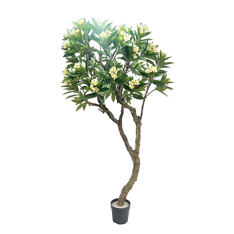 140CM-270CM Plumeria Flower Trees,140CM-270CM Plumeria Flower Trees