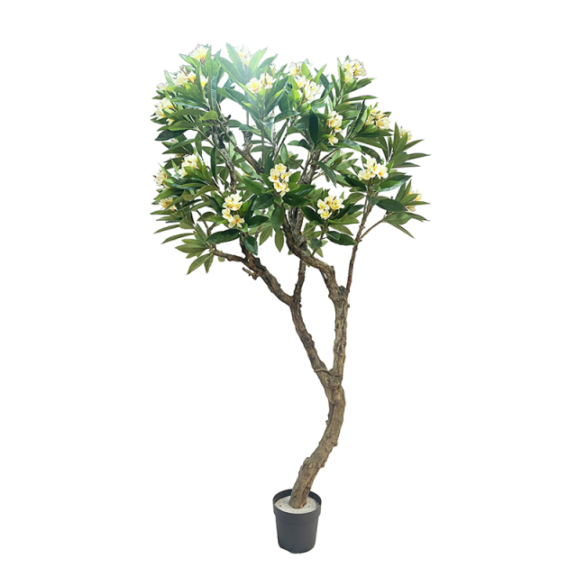 140CM-270CM Plumeria Flower Trees,140CM-270CM Plumeria Flower Trees