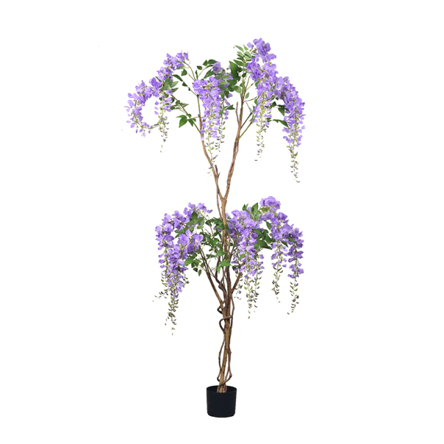 120CM-180CM Wisteria Flower Trees,120CM-180CM Wisteria Flower Trees