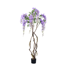 120CM-180CM Wisteria Flower Trees,120CM-180CM Wisteria Flower Trees
