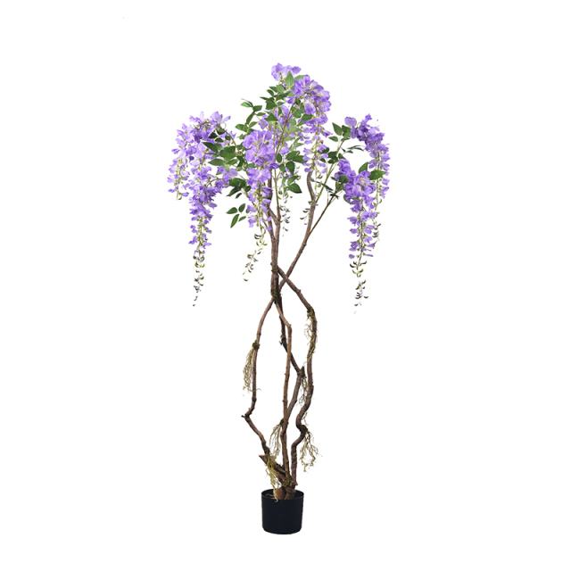 120CM-180CM Wisteria Flower Trees,120CM-180CM Wisteria Flower Trees