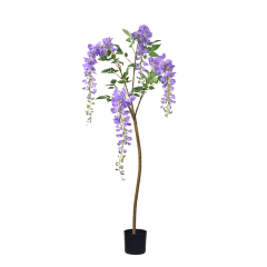 120CM-180CM Wisteria Flower Trees,120CM-180CM Wisteria Flower Trees