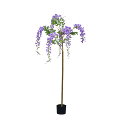 120CM-180CM Wisteria Flower Trees,120CM-180CM Wisteria Flower Trees