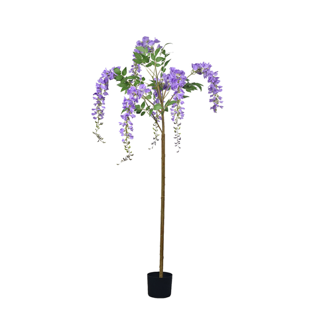 120CM-180CM Wisteria Flower Trees,120CM-180CM Wisteria Flower Trees