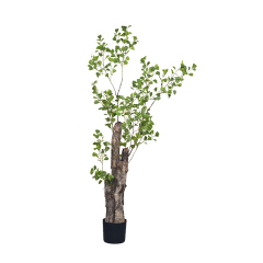 180CM Ficus Tree with Natural Trunk,180CM Ficus Tree with Natural Trunk