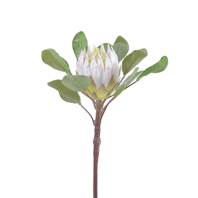 83CM Big Size King Protea Flowers,83CM Big Size King Protea Flowers