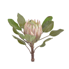 83CM Big Size King Protea Flowers,83CM Big Size King Protea Flowers