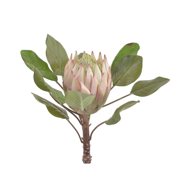 83CM Big Size King Protea Flowers,83CM Big Size King Protea Flowers