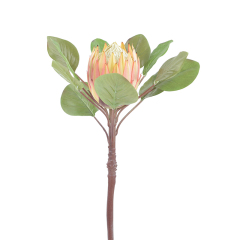 83CM Big Size King Protea Flowers,83CM Big Size King Protea Flowers