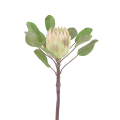 83CM Big Size King Protea Flowers,83CM Big Size King Protea Flowers